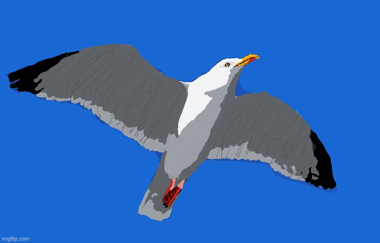 I drew over a seagull image and that's how it turned out | image tagged in drawings | made w/ Imgflip meme maker