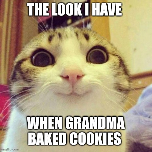 Cookies | THE LOOK I HAVE; WHEN GRANDMA BAKED COOKIES | image tagged in memes,smiling cat,cookies | made w/ Imgflip meme maker