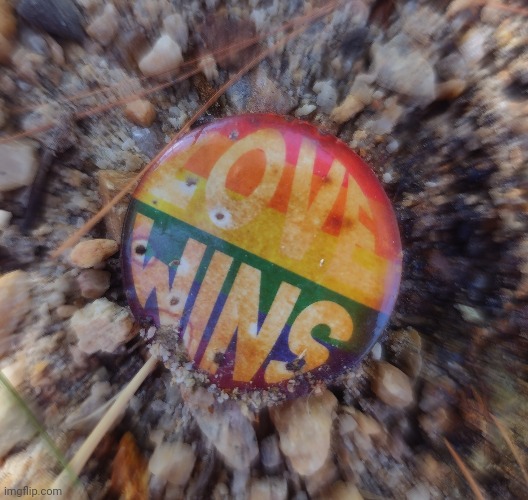 Found this pin by the river today :D | image tagged in love wins | made w/ Imgflip meme maker