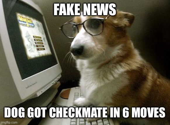 Smart Dog | FAKE NEWS; DOG GOT CHECKMATE IN 6 MOVES | image tagged in smart dog | made w/ Imgflip meme maker
