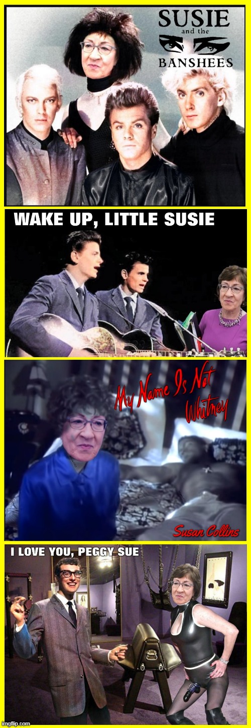 susan collins mashups | image tagged in susan collins,democrats,whitney houston,siouxsie and the banshees,buddy holly,the everly brothers | made w/ Imgflip meme maker