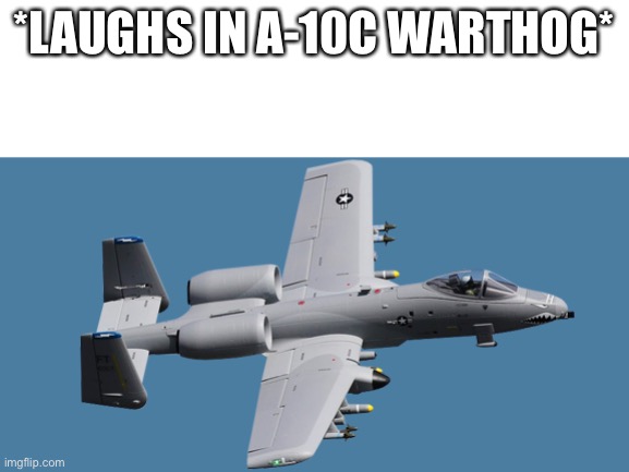 BRRRRRRRT | *LAUGHS IN A-10C WARTHOG* | image tagged in brrrrrrrt,a10,plane,guns,memes | made w/ Imgflip meme maker