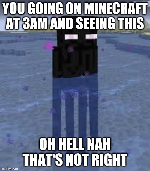 Cursed Enderman | YOU GOING ON MINECRAFT AT 3AM AND SEEING THIS; OH HELL NAH THAT'S NOT RIGHT | image tagged in cursed enderman | made w/ Imgflip meme maker