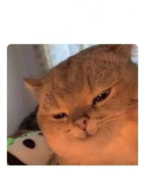 High Quality Grinning cat Blank Meme Template