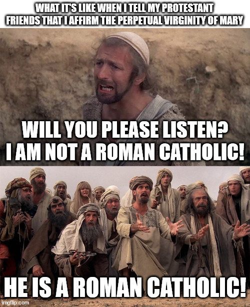 Monty Python Life of Brian Messiah | WHAT IT'S LIKE WHEN I TELL MY PROTESTANT FRIENDS THAT I AFFIRM THE PERPETUAL VIRGINITY OF MARY; WILL YOU PLEASE LISTEN? I AM NOT A ROMAN CATHOLIC! HE IS A ROMAN CATHOLIC! | image tagged in monty python life of brian messiah | made w/ Imgflip meme maker
