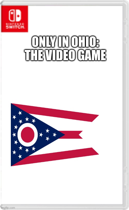 lol | ONLY IN OHIO: THE VIDEO GAME | image tagged in nintendo switch | made w/ Imgflip meme maker