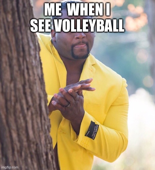 Black guy hiding behind tree | ME  WHEN I SEE VOLLEYBALL | image tagged in black guy hiding behind tree | made w/ Imgflip meme maker