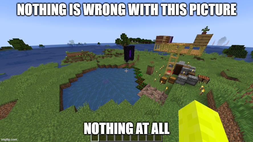 nothing to see here | NOTHING IS WRONG WITH THIS PICTURE; NOTHING AT ALL | made w/ Imgflip meme maker