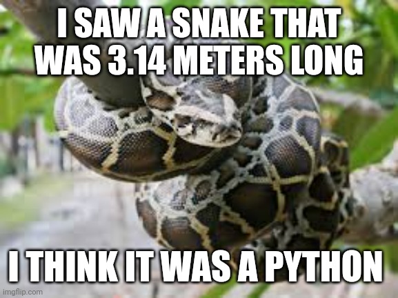 I SAW A SNAKE THAT WAS 3.14 METERS LONG; I THINK IT WAS A PYTHON | made w/ Imgflip meme maker