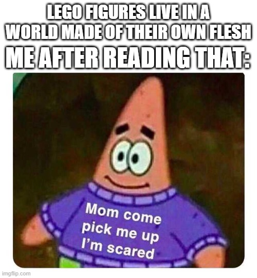 Hol up | ME AFTER READING THAT:; LEGO FIGURES LIVE IN A WORLD MADE OF THEIR OWN FLESH | image tagged in patrick mom come pick me up i'm scared | made w/ Imgflip meme maker