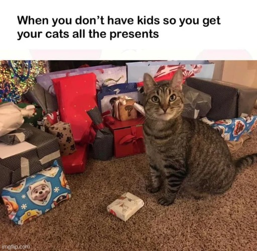 Merry Christmas (Sorry i'm a bit late) | image tagged in cats,christmas,merry christmas | made w/ Imgflip meme maker