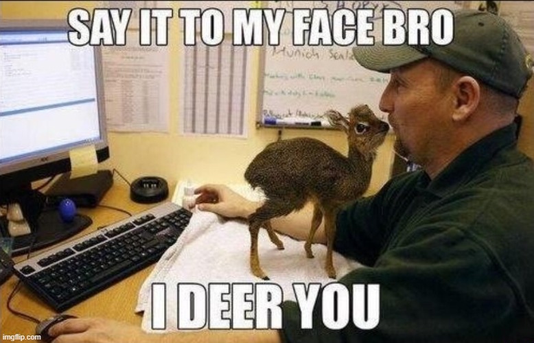 image tagged in puns | made w/ Imgflip meme maker