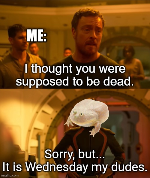 You know what day it is | ME:; Sorry, but...
It is Wednesday my dudes. | image tagged in i thought you were supposed to be dead blank bottom panel,it is wednesday my dudes,frog | made w/ Imgflip meme maker