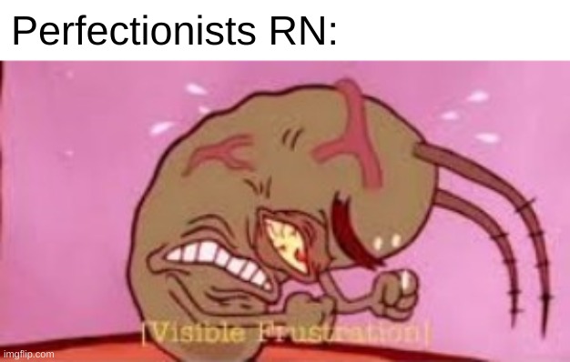 Visible Frustration | Perfectionists RN: | image tagged in visible frustration | made w/ Imgflip meme maker
