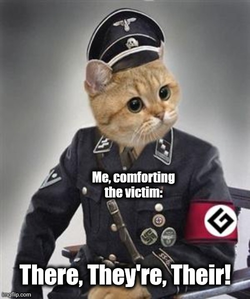 Grammar Nazi Cat | Me, comforting the victim: There, They're, Their! | image tagged in grammar nazi cat | made w/ Imgflip meme maker