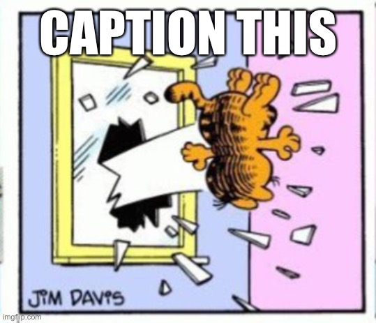 Garfield gets thrown out of a window | CAPTION THIS | image tagged in garfield gets thrown out of a window | made w/ Imgflip meme maker