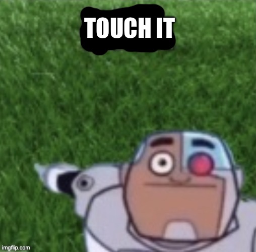 Cyborg touch grass now | TOUCH IT | image tagged in cyborg touch grass now | made w/ Imgflip meme maker