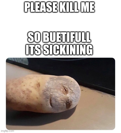 Please Kill Me Potato | PLEASE KILL ME SO BUETIFULL ITS SICKINING | image tagged in please kill me potato | made w/ Imgflip meme maker
