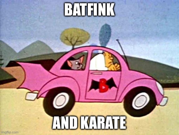 Batfink | BATFINK AND KARATE | image tagged in batfink,karate | made w/ Imgflip meme maker