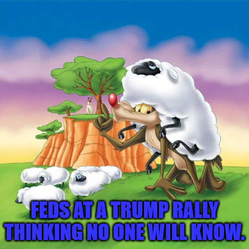 Infiltrators | FEDS AT A TRUMP RALLY THINKING NO ONE WILL KNOW. | image tagged in ralph wolf,wolf in sheeps clothing | made w/ Imgflip meme maker