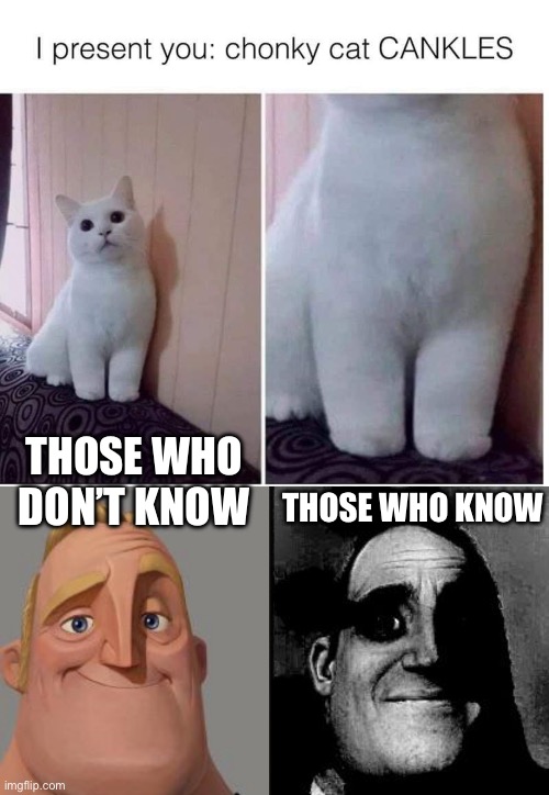 Oedema for cats | THOSE WHO KNOW; THOSE WHO DON’T KNOW | image tagged in traumatized mr incredible,oedema,cankles,cats,fluids | made w/ Imgflip meme maker