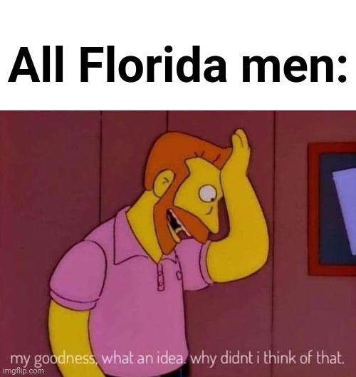 my goodness what an idea why didn't I think of that | All Florida men: | image tagged in my goodness what an idea why didn't i think of that | made w/ Imgflip meme maker