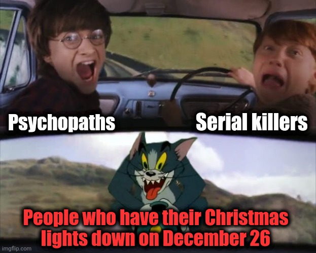 Sickos! | Psychopaths; Serial killers; People who have their Christmas
lights down on December 26 | image tagged in tom chasing harry and ron weasly,memes,christmas decorations,christmas lights | made w/ Imgflip meme maker