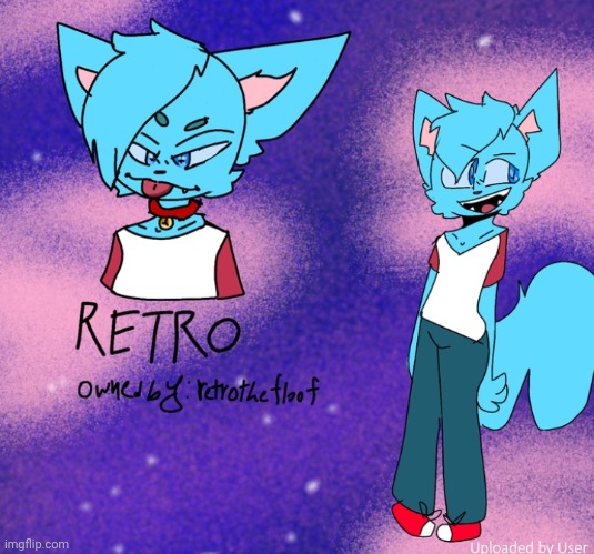 Retro, my fursona (art by Zooewolf22) | image tagged in furry,fursona,oc,art,drawings,fanart | made w/ Imgflip meme maker