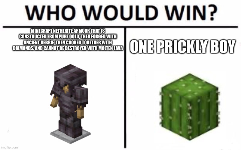 Someone has probably done this before | MINECRAFT NETHERITE ARMOUR THAT IS CONSTRUCTED FROM PURE GOLD, THEN FORGED WITH ANCIENT DEBRIE, THEN COOKED TOGETHER WITH DIAMONDS. AND CANNOT BE DESTROYED WITH MOLTEN LAVA; ONE PRICKLY BOY | image tagged in memes,who would win | made w/ Imgflip meme maker