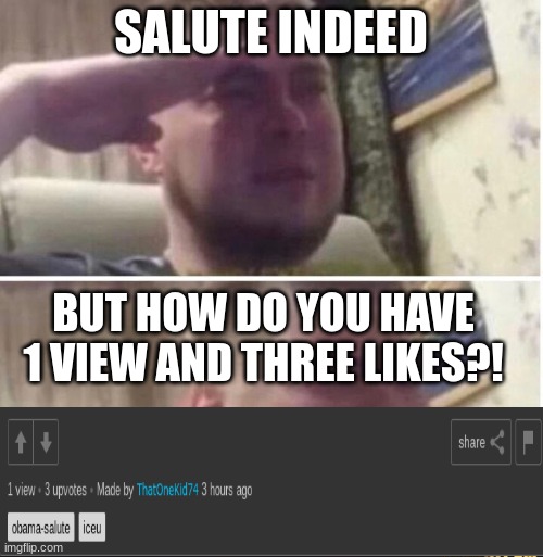 Crying salute | SALUTE INDEED BUT HOW DO YOU HAVE 1 VIEW AND THREE LIKES?! | image tagged in crying salute | made w/ Imgflip meme maker