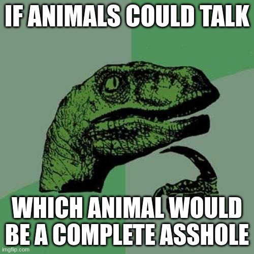 a man can wonder | IF ANIMALS COULD TALK; WHICH ANIMAL WOULD BE A COMPLETE ASSHOLE | image tagged in memes,philosoraptor | made w/ Imgflip meme maker