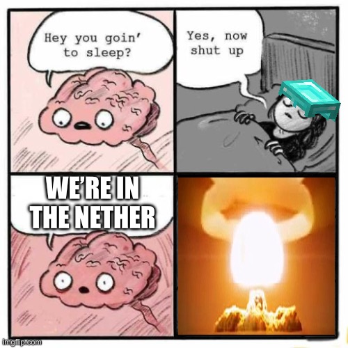 Hey you going to sleep? | WE’RE IN THE NETHER | image tagged in hey you going to sleep | made w/ Imgflip meme maker