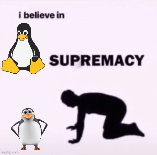 Penguin supremacy | image tagged in i believe in supremacy,penguin | made w/ Imgflip meme maker