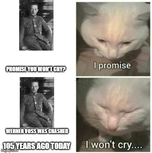 There was a dying flying ace in 1917 | PROMISE YOU WON'T CRY? WERNER VOSS WAS CRASHED; 105 YEARS AGO TODAY | image tagged in i promise i won't cry,memes | made w/ Imgflip meme maker