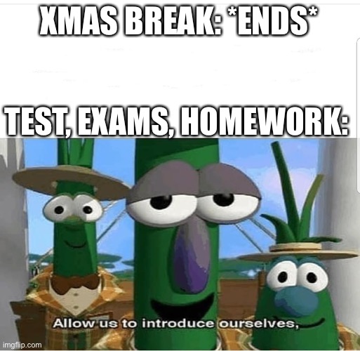 School when Xmas break ends | XMAS BREAK: *ENDS*; TEST, EXAMS, HOMEWORK: | image tagged in allow us to introduce ourselves | made w/ Imgflip meme maker