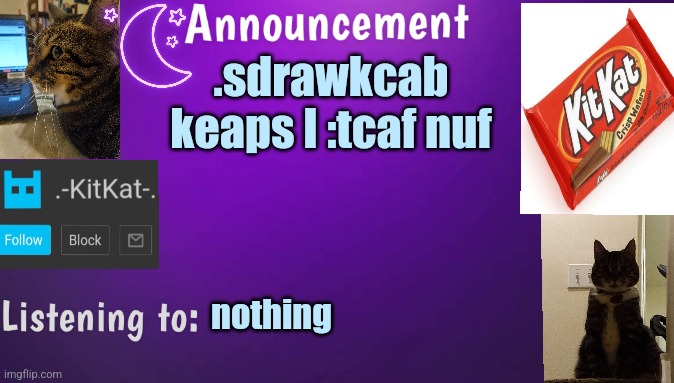 Kitty's announcment temp V3 | .sdrawkcab keaps I :tcaf nuf; nothing | image tagged in kitty's announcment temp v3 | made w/ Imgflip meme maker