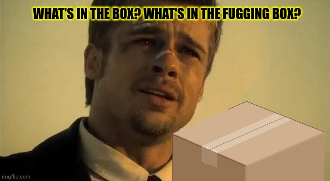 What's In the Box | WHAT'S IN THE BOX? WHAT'S IN THE FUGGING BOX? | image tagged in what's in the box | made w/ Imgflip meme maker