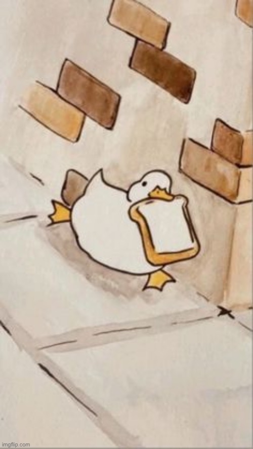 Breb | image tagged in duck with bread,bread,duck | made w/ Imgflip meme maker