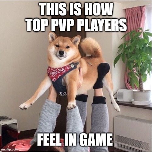 THIS IS HOW TOP PVP PLAYERS; FEEL IN GAME | made w/ Imgflip meme maker