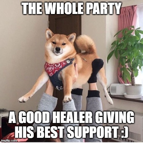 THE WHOLE PARTY; A GOOD HEALER GIVING HIS BEST SUPPORT :) | made w/ Imgflip meme maker