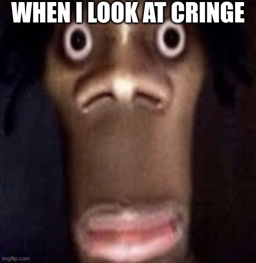 Funny Meme | WHEN I LOOK AT CRINGE | image tagged in quandale dingle | made w/ Imgflip meme maker
