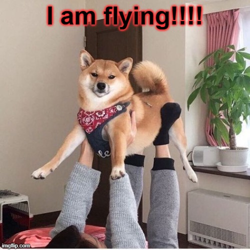 I am flying!!!! | made w/ Imgflip meme maker