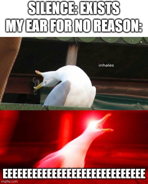 I'm sure you guys have experienced this | SILENCE: EXISTS; MY EAR FOR NO REASON:; EEEEEEEEEEEEEEEEEEEEEEEEEEEEE | image tagged in inhaling seagull,ears,silence | made w/ Imgflip meme maker