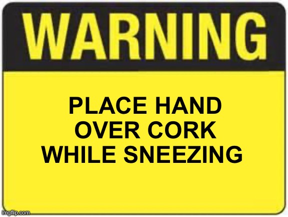 blank warning sign | PLACE HAND OVER CORK WHILE SNEEZING | image tagged in blank warning sign | made w/ Imgflip meme maker