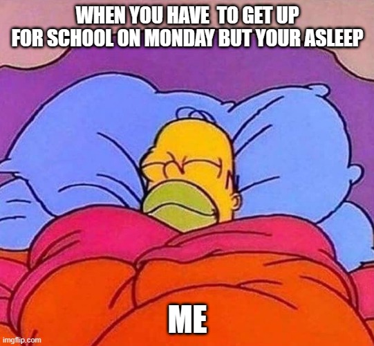 relatable | WHEN YOU HAVE  TO GET UP FOR SCHOOL ON MONDAY BUT YOUR ASLEEP; ME | image tagged in homer simpson sleeping peacefully | made w/ Imgflip meme maker