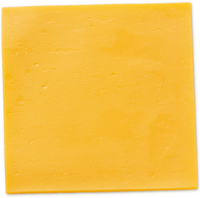 Cheese slice Blank Meme Template