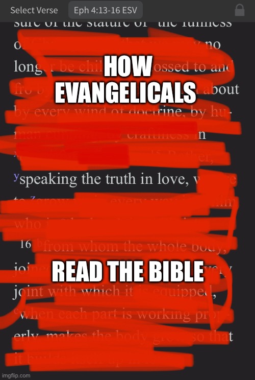Bible Study | HOW EVANGELICALS; READ THE BIBLE | image tagged in holy bible,bible verse,jesus christ,christianity | made w/ Imgflip meme maker