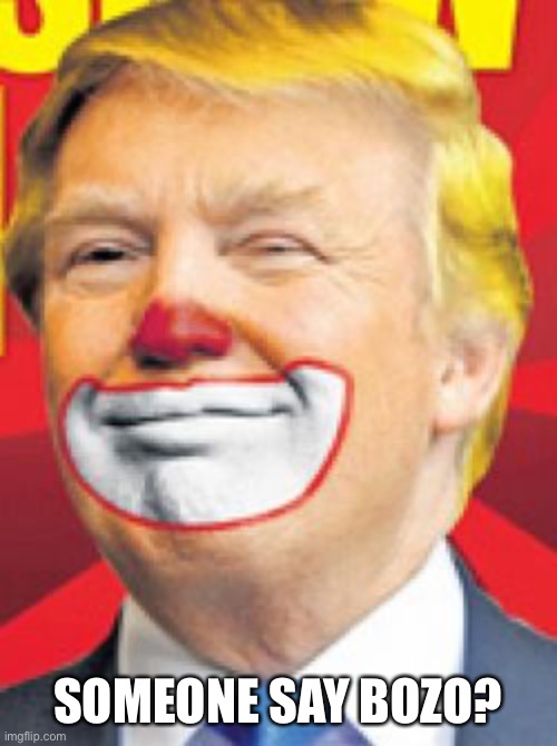 Donald Trump the Clown | SOMEONE SAY BOZO? | image tagged in donald trump the clown | made w/ Imgflip meme maker