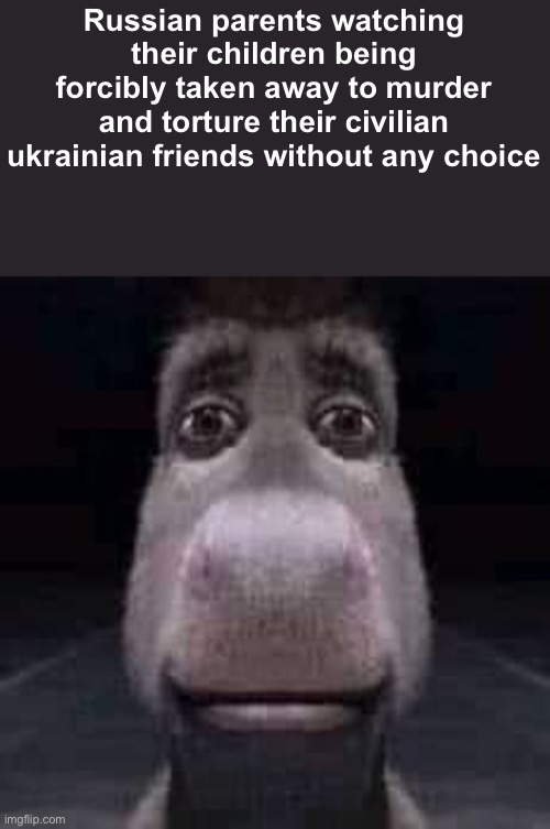 Donkey staring | Russian parents watching their children being forcibly taken away to murder and torture their civilian ukrainian friends without any choice | image tagged in donkey staring | made w/ Imgflip meme maker