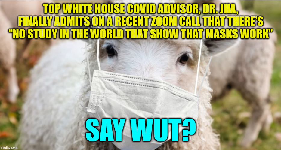 TOP WHITE HOUSE COVID ADVISOR, DR. JHA, FINALLY ADMITS ON A RECENT ZOOM CALL THAT THERE’S “NO STUDY IN THE WORLD THAT SHOW THAT MASKS WORK”; SAY WUT? | made w/ Imgflip meme maker